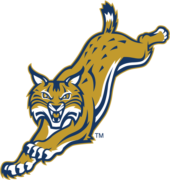Quinnipiac Bobcats 2002-Pres Alternate Logo v4 diy iron on heat transfer